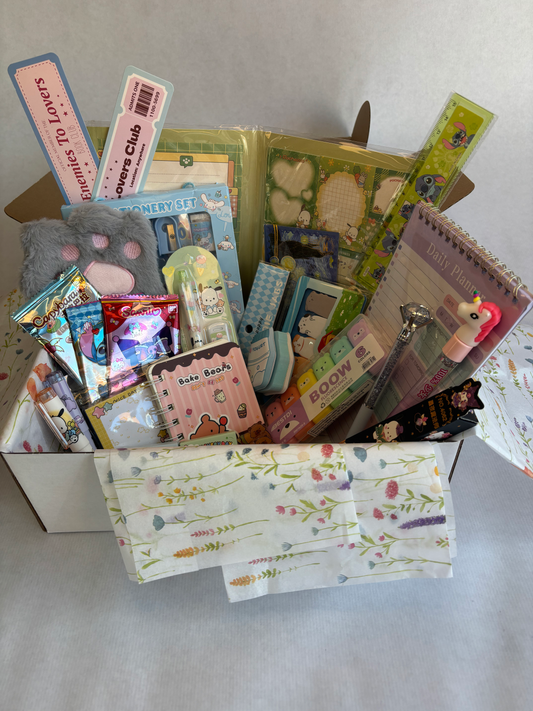 AMAOTO BOX – Papelería & Lectura